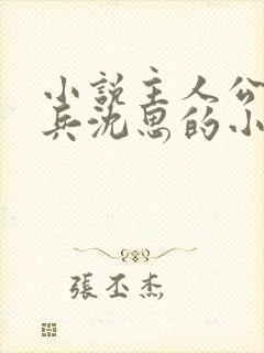 小说主人公叫李兵沈思的小说