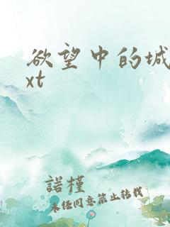 欲望中的城市txt