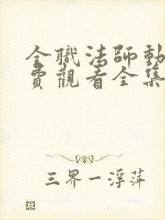 全职法师动漫免费观看全集第二季