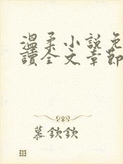 温柔小说免费阅读全文章节