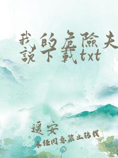 我的危险夫人小说下载txt