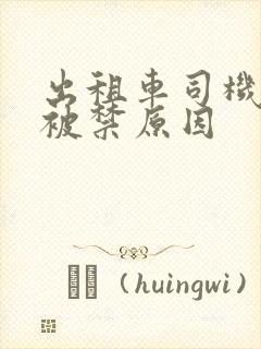 出租车司机电影被禁原因