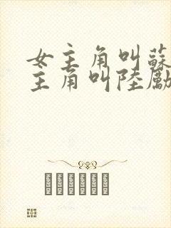 女主角叫苏瑶男主角叫陆励成的小说