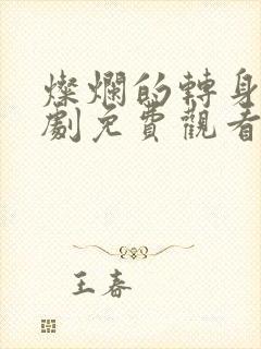灿烂的转身电视剧免费观看完整版