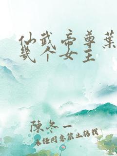 仙武帝尊叶辰有几个女主