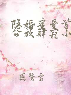 隐婚蜜爱首席老公放肆宠小说