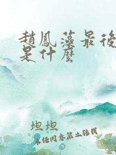 赵凤藻最后结局是什么