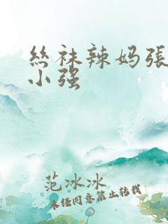 丝袜辣妈张静 小强