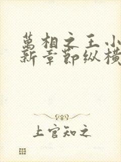 万相之王小说最新章节纵横全文阅读