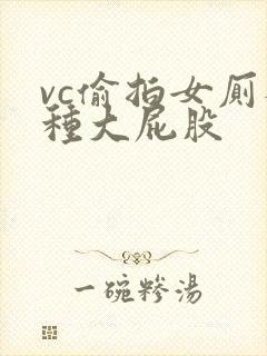 vc偷拍女厕各种大屁股