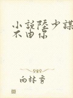 小说陆少谋妻婚不由你