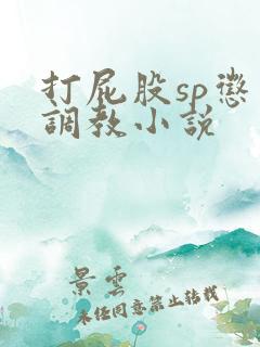 打屁股sp惩罚调教小说