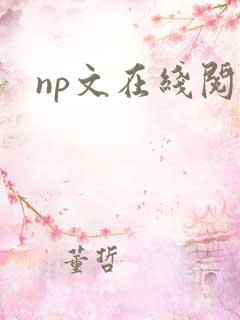np文在线阅读