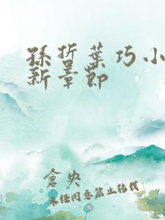 孙哲叶巧小说最新章节