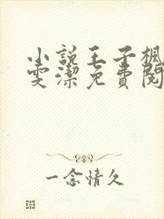 小说王子枫和袁雯洁免费阅读