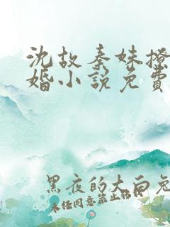 沈故秦姝撩你成婚小说免费阅读