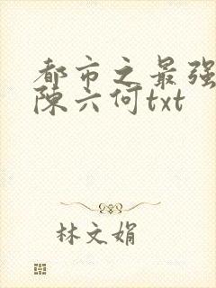 都市之最强狂兵陈六何txt