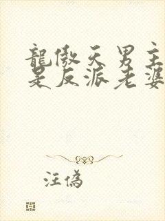 龙傲天男主就该是反派老婆