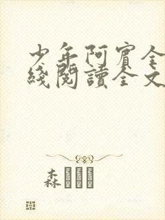 少年阿宾全文在线阅读全文免费阅读最新