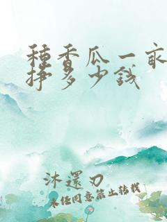 种香瓜一亩地能挣多少钱