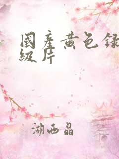 国产黄色录像一级片