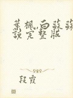 叶枫,白苏苏小说完整版