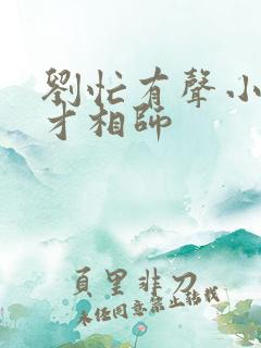 刘忙有声小说天才相师