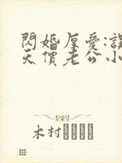 闪婚厚爱:误嫁天价老公小说