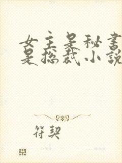 女主是秘书男主是总裁小说