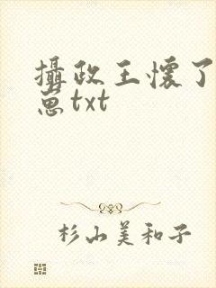 摄政王怀了朕的崽txt