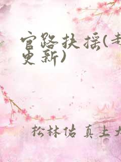 官路扶摇(超前更新)