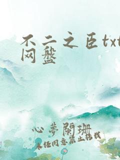不二之臣txt网盘