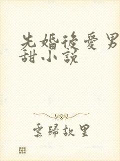 先婚后爱男男宠甜小说
