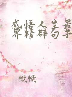 感悟人生最高境界精辟句子