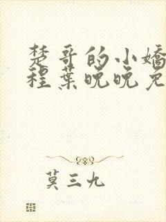 楚哥的小娇妻楚程叶晚晚免费阅读