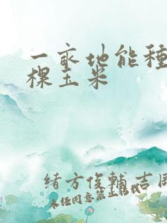 一亩地能种多少棵玉米