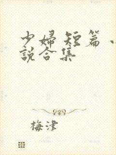 少妇 短篇 小说合集