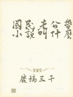 国民老公带回家小说叫什么