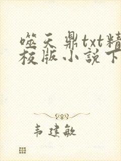 噬天鼎txt精校版小说下载