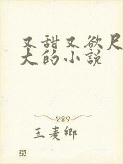 又甜又欲尺度又大的小说