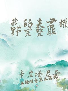 我的夫君权倾朝野完整版