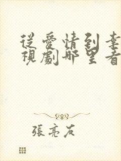从爱情到幸福电视剧哪里看