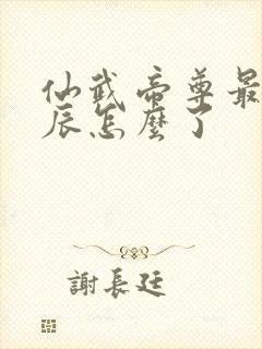 仙武帝尊最后叶辰怎么了
