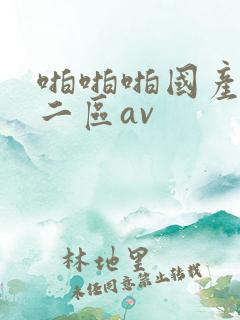 啪啪啪国产一区二区av