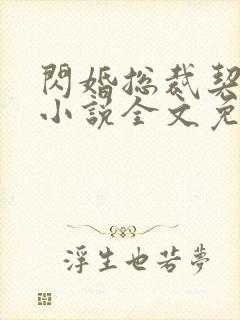 闪婚总裁契约妻小说全文免费完结版