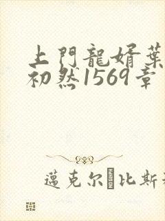 上门龙婿叶辰萧初然1569章了