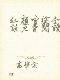 红颜官途全文小说免费阅读