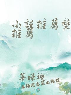 小说推荐双男主推荐