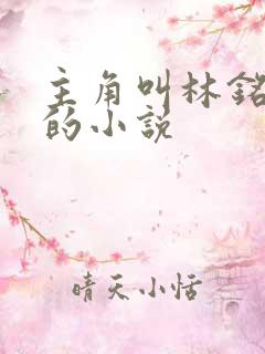 主角叫林铭陈佳的小说