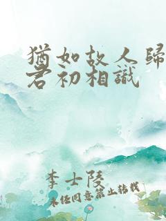 犹如故人归,与君初相识